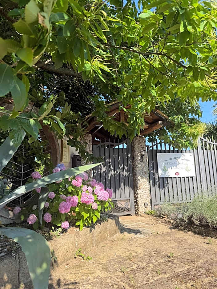 A Casa di nonna Emilia