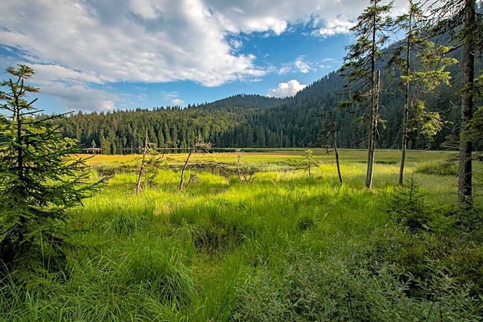 Wander und Aktiv Hotel Rösslwirt