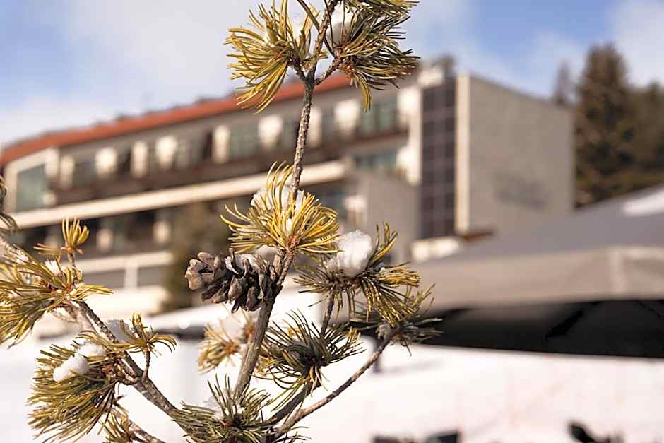 COMO Alpina Dolomites
