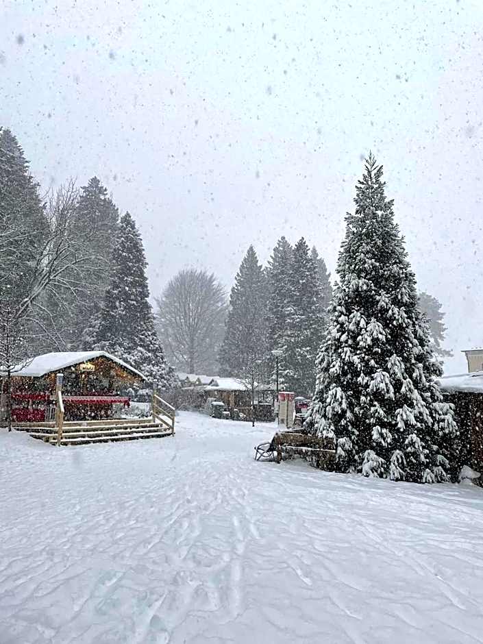 Nature Bio Hotel Elite