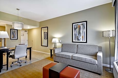 1 King Bed Studio Suite Nonsmoking