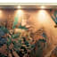 Hotel Parco Fola