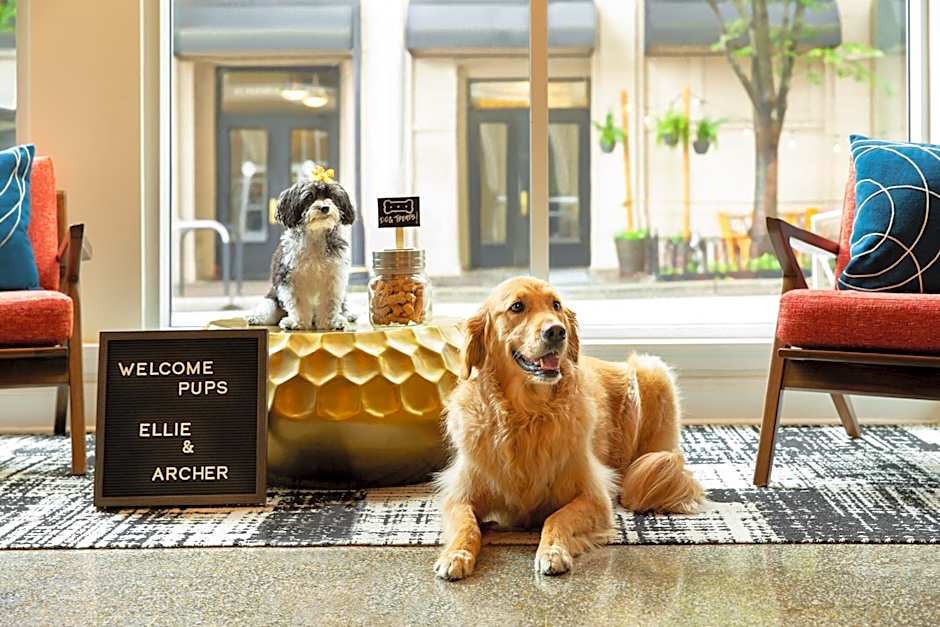 Indigo Winston-Salem Downtown By IHG