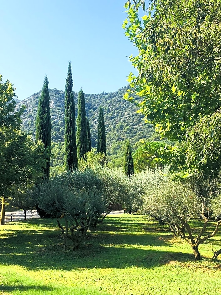 Le Champ Des Oliviers – Oppede, UT