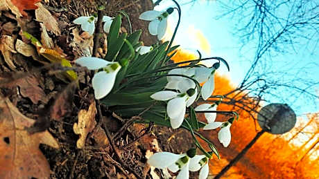 Rókabérc Vadászház Hotel