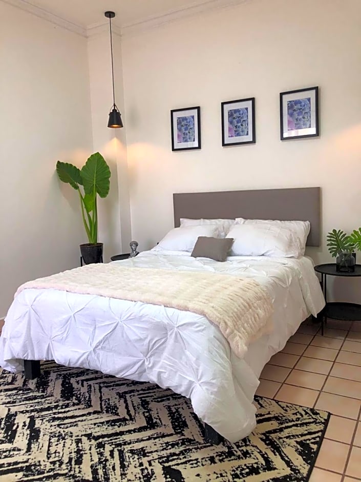 Casa Palma 2