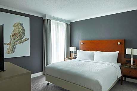 Junior Suite, M Club lounge access, 1 Bedroom Suite, 1 King, High floor