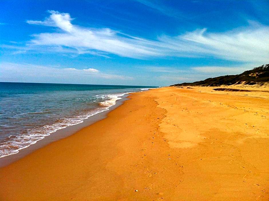 Paradise on The Boulevard - 90 Mile Beach Holiday Home