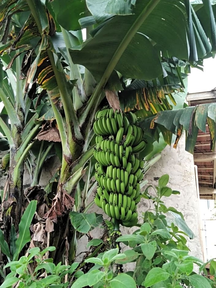 Café com Arte Pousada Ecológica