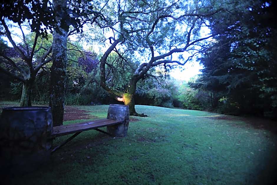 Andante Lodge
