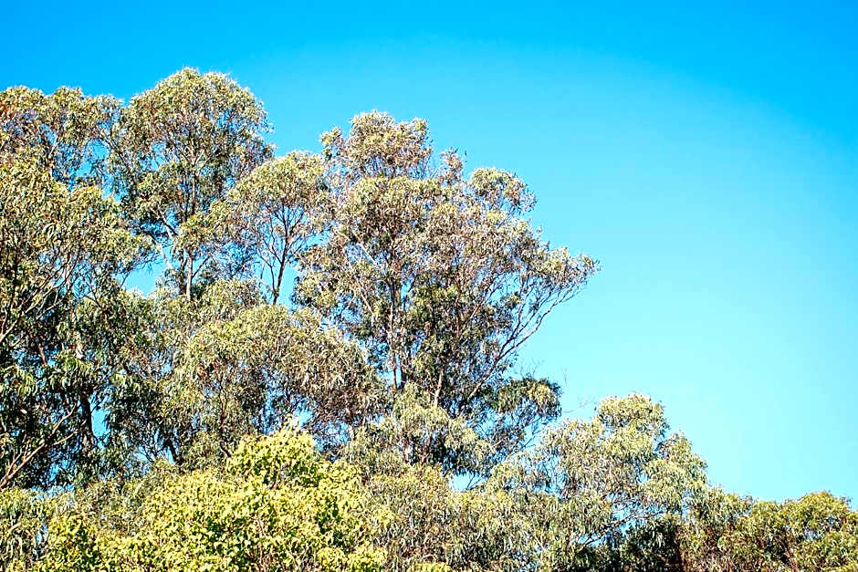 Quality Apartments Banksia Albany