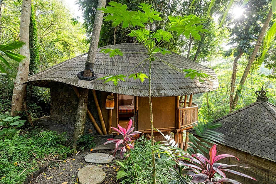 Bamboo Turtles Ecolodge