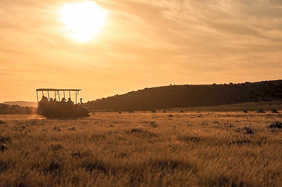 Glen Harry Game Reserve