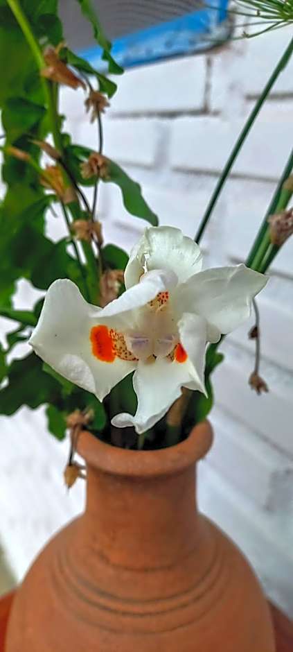 Pousada Bem-Viver na Vila de Itaúnas