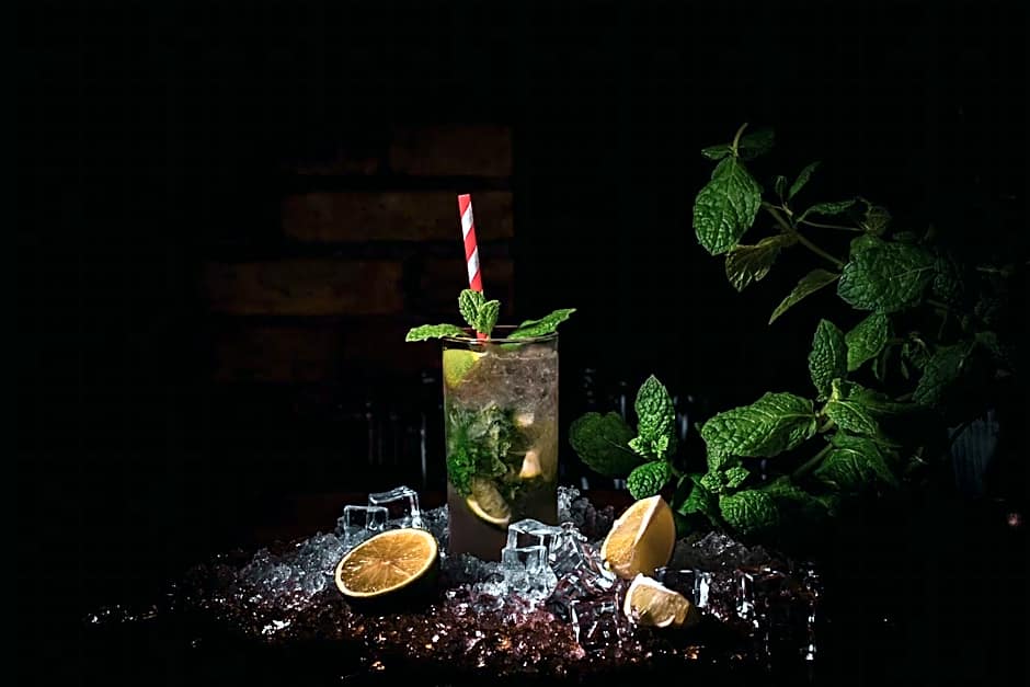 Zajazd u Piasta Kołodzieja