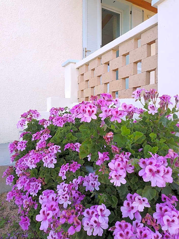 Lispusada Agriturismo Adults Only