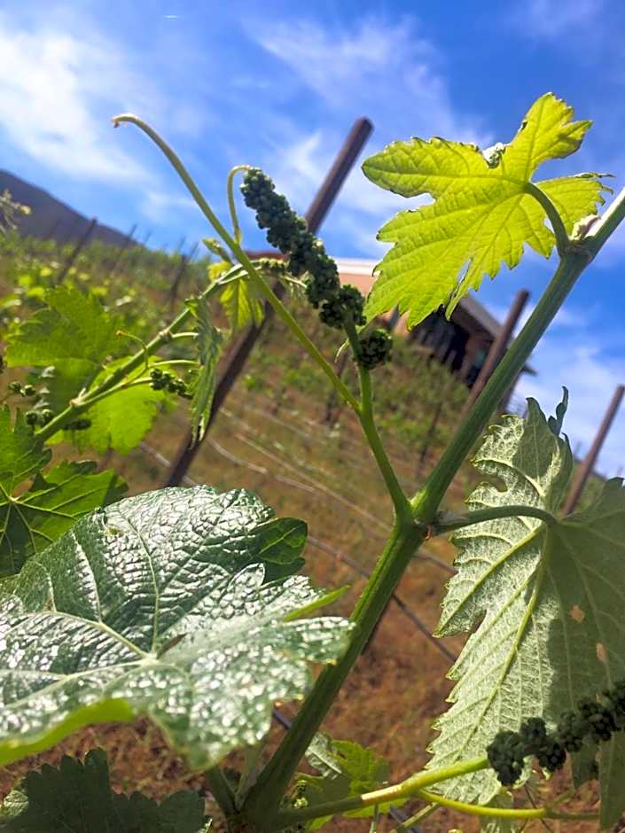 Cabañas Rancho Palos Verdes
