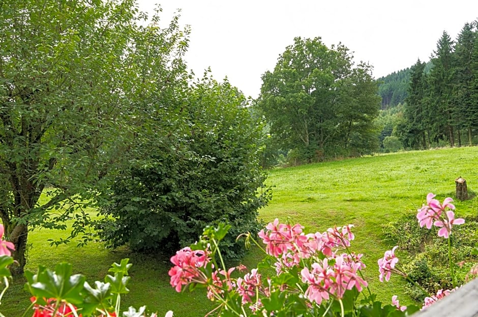 Gasthof & Landhotel Ohrnbachtal