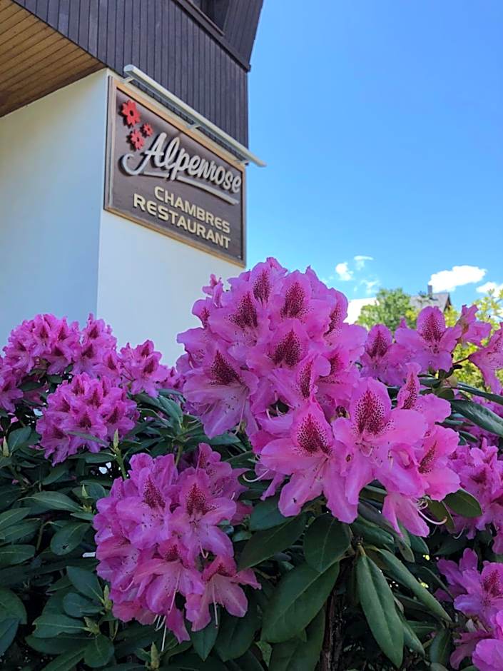 Alpenrose Chamonix