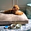 Baur au Lac