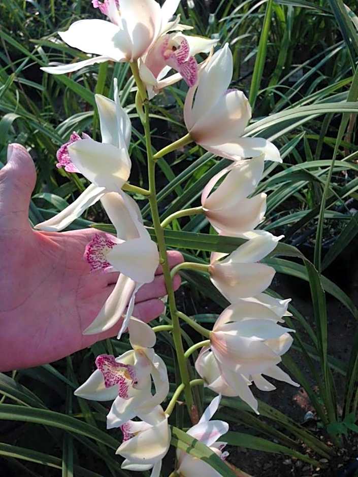 La Rive Waterberg Accommodation