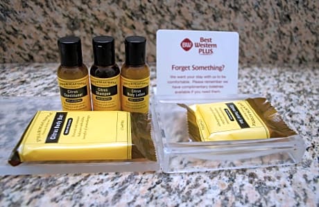 King Room with Roll-In Shower - Mobility Access/Communication Assistance