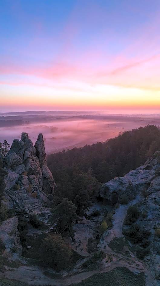 Harz Hotel Vogelberg