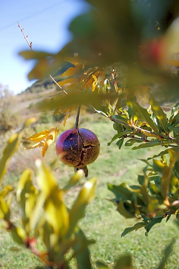 Le Cascate Bed and Breakfast