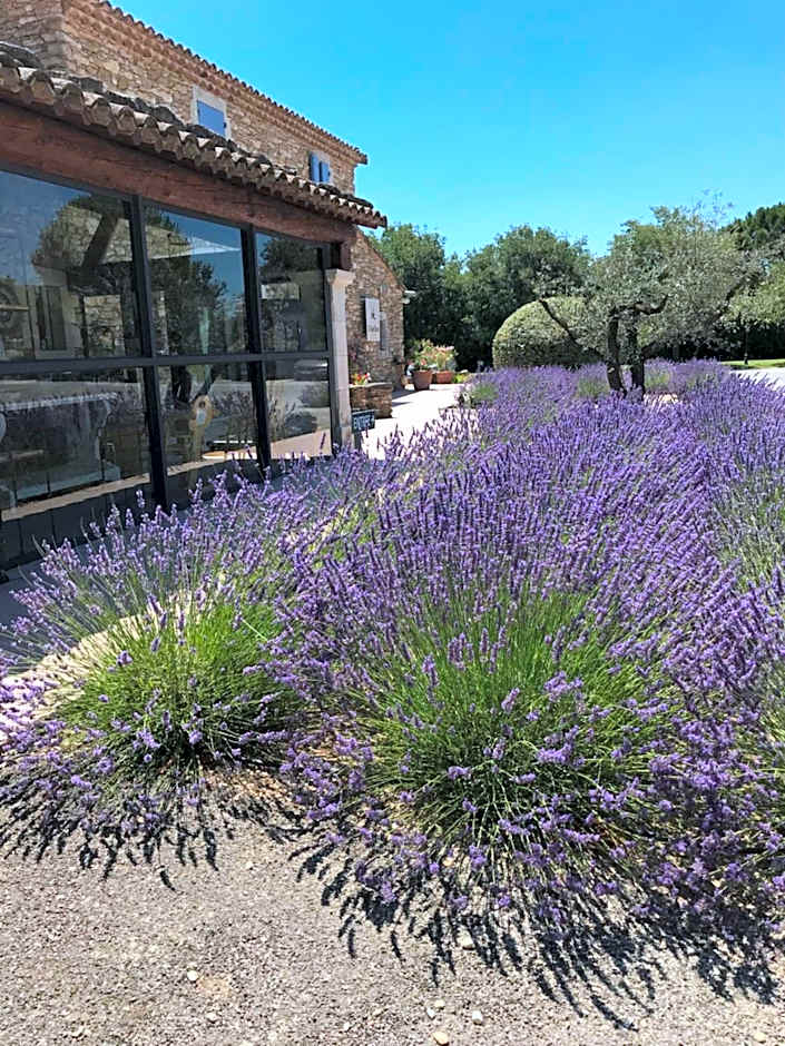 Mas De La Senancole & Spa