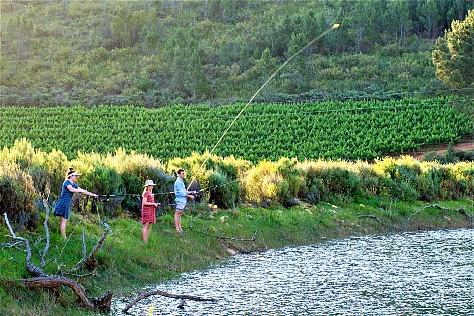 Vredehoek Guest Farm
