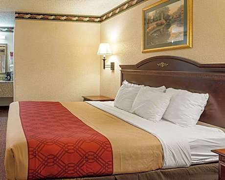 1 King Bed Suite Nonsmoking