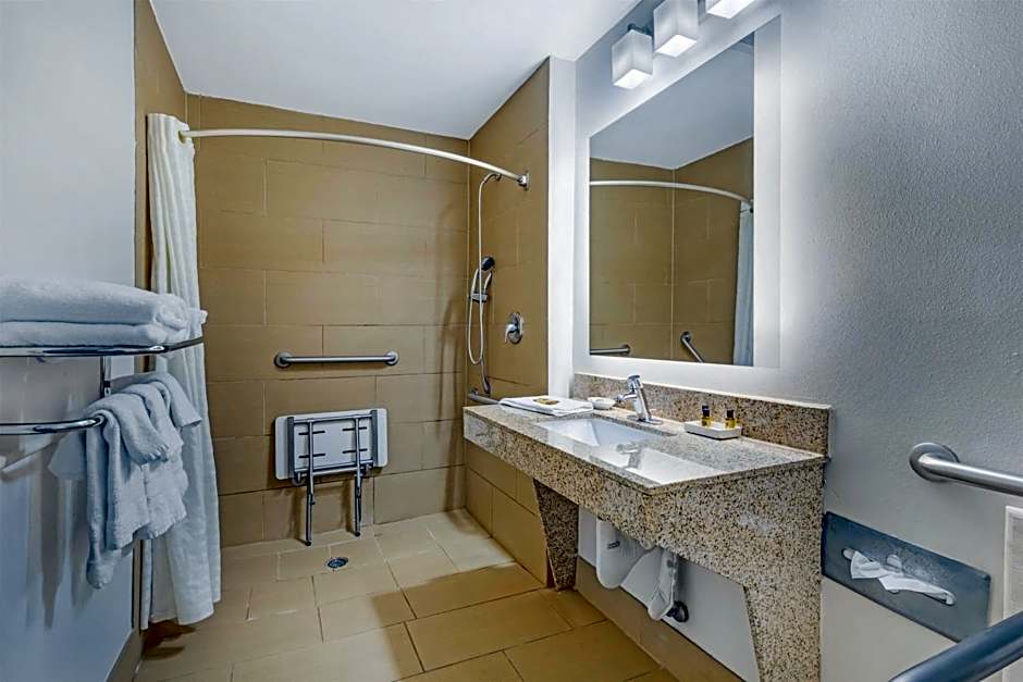 Best Western Plus McDonough Inn & Suites