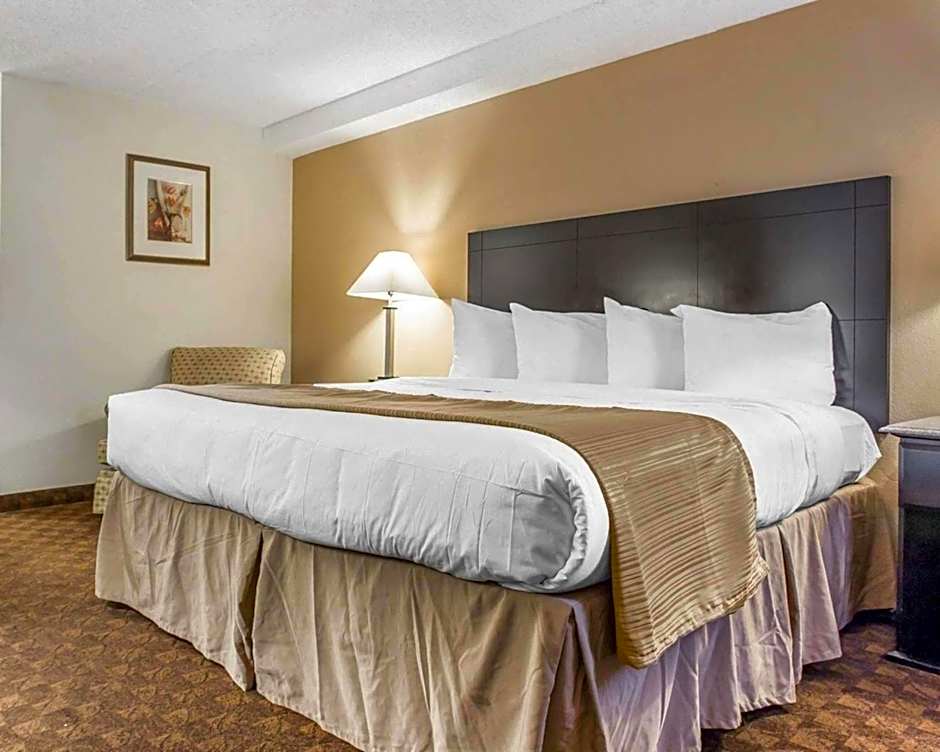Quality Inn & Suites Coliseum
