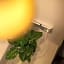 Holiday Inn - the niu, Mesh Stuttgart Messe By IHG
