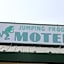 Jumping Frog Motel