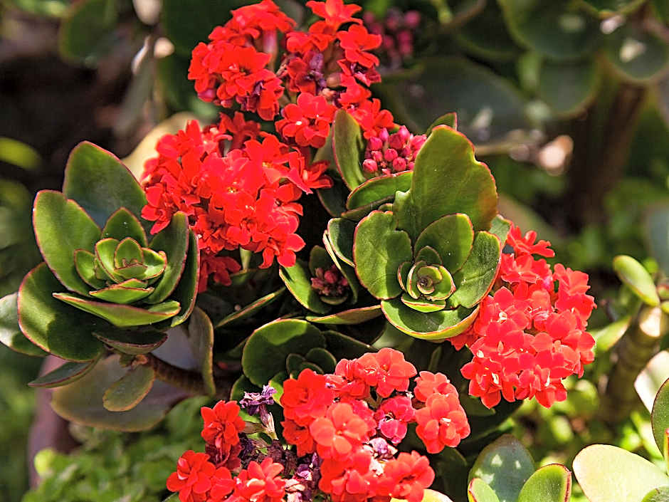 Yonabaru Hotel SUNRIZE OCEAN