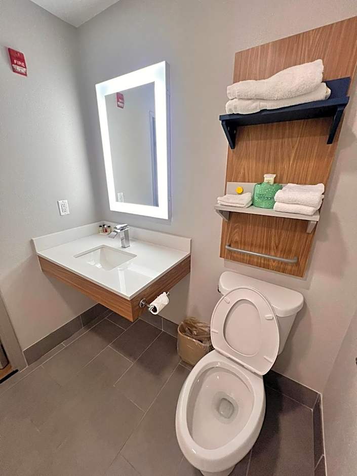Microtel Inn & Suites by Wyndham Conyers Atlanta Area