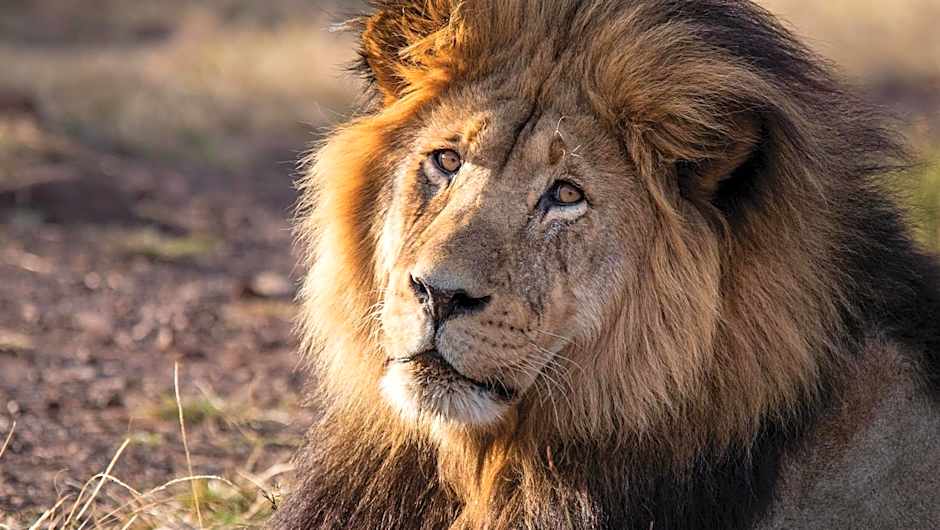 Gondwana Game Reserve