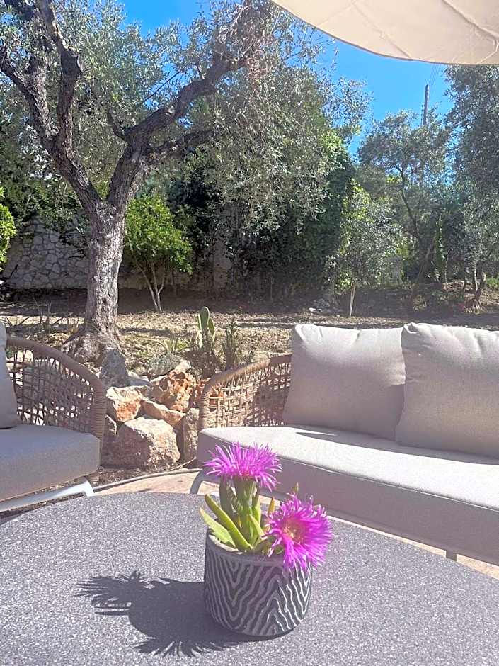 Nissi Collection Rooms