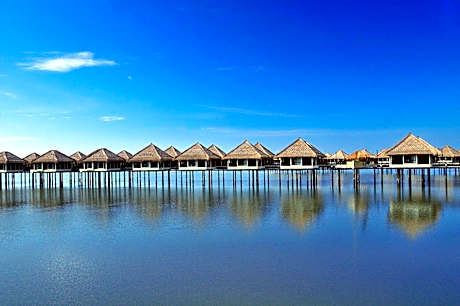 Private Owned Villa Avani Sepang Goldcoast