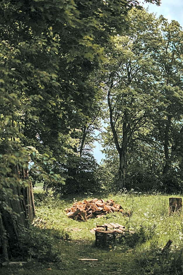 Folwark Stara Kuźnia