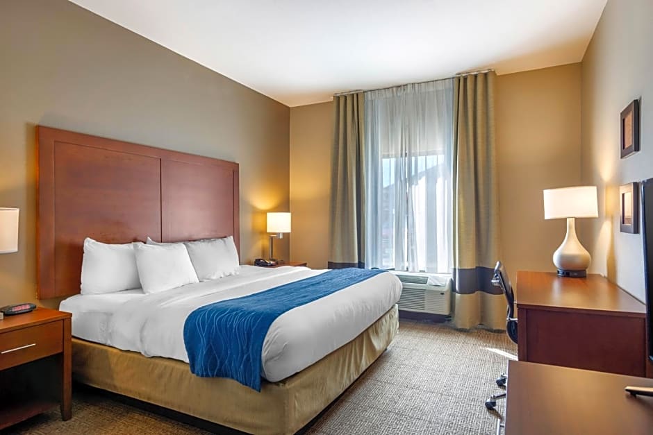 Comfort Inn South Chesterfield - Colonial Heights