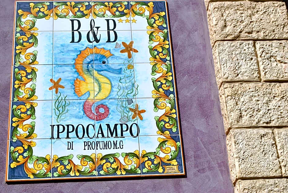 B&B Ippocampo
