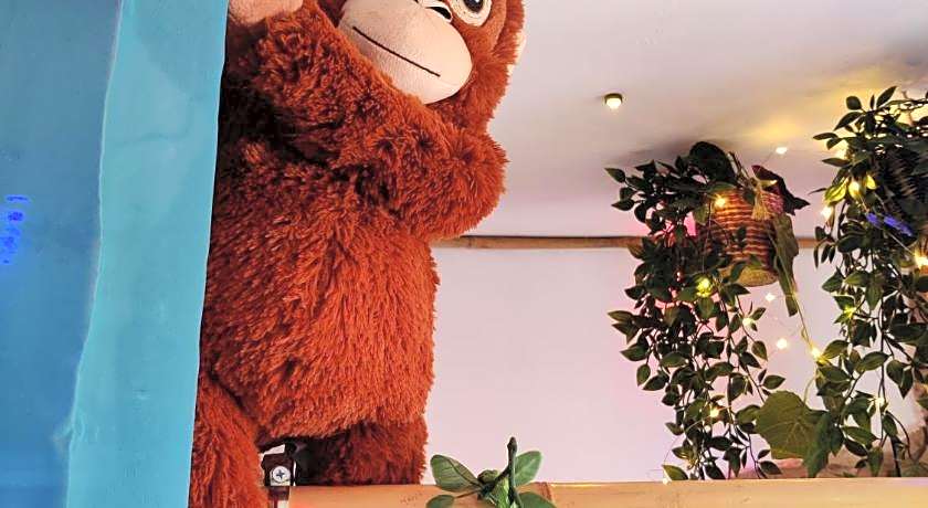 Wonder Room Paraiso Magico Habitacion