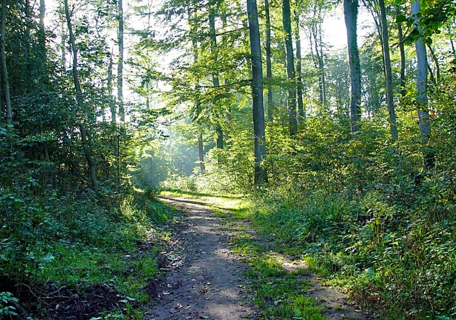 Hotel Waldhusen - Adults Only