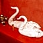Riad dar Ourika & SPA