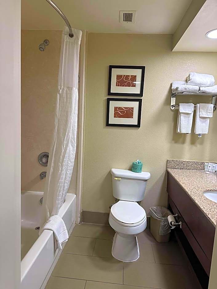 Vista Suites Near Island and Leconte Convention Center