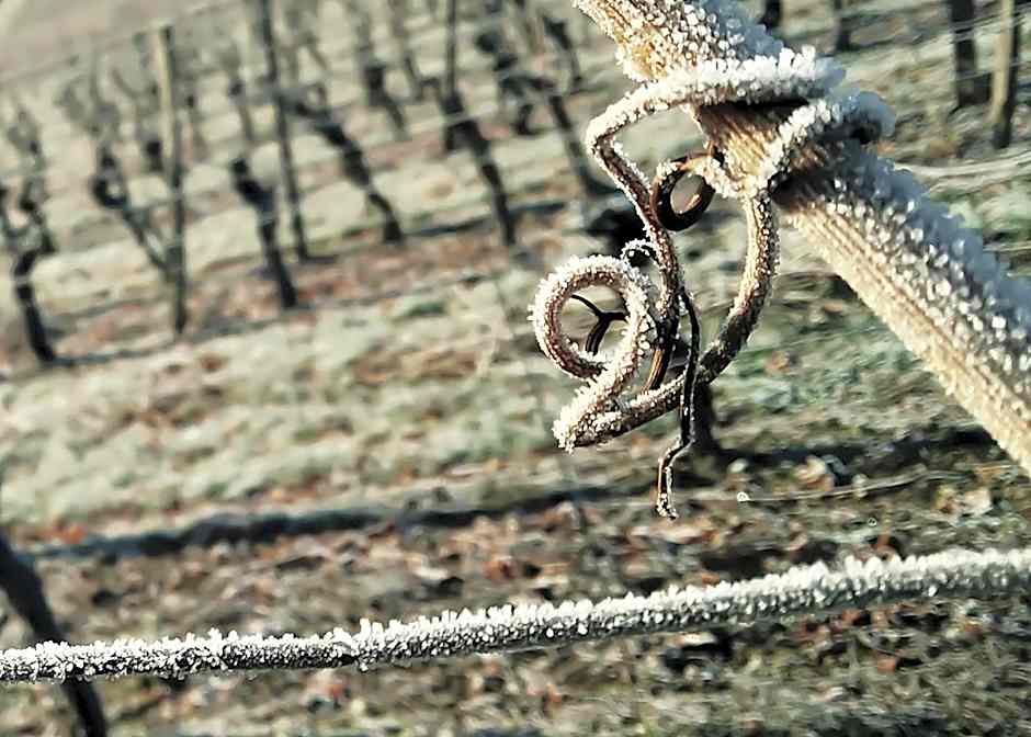 Brunnenhof Randersacker - das kleine Hotel