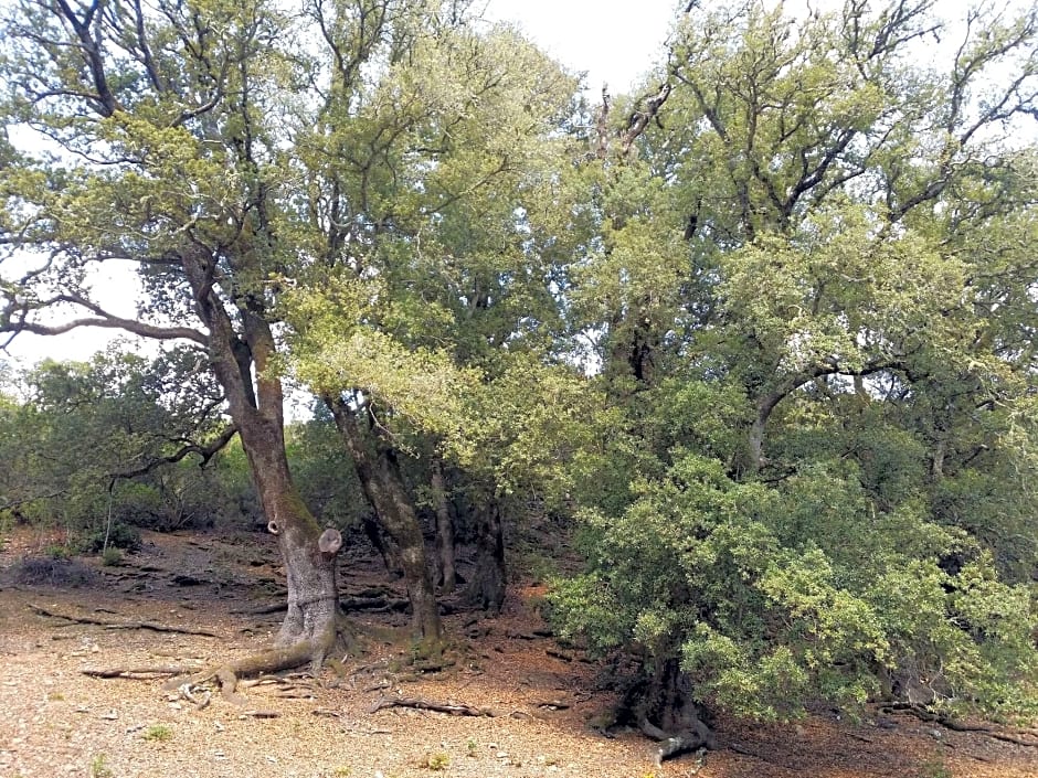 Rejna Residence Hotel