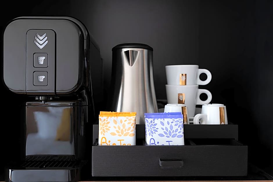 Hôtel Villa KOEGUI Bayonne